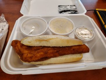 article image - fish 1